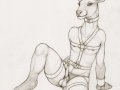 1306213088.ecmajor_cometdeerboy.jpg